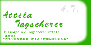 attila tagscherer business card